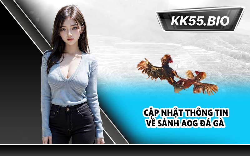 Cập Nhật Thông Tin Về Sảnh AOG Đá Gà