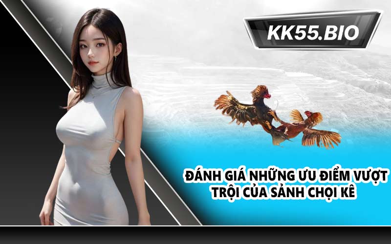Đánh Giá Những Ưu Điểm Vượt Trội Của Sảnh Chọi Kê