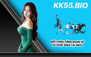 Giới thiệu tổng quan về cá cược Bida tại KK55