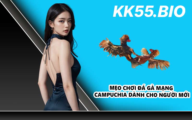 Mẹo chơi đá gà mạng Campuchia dành cho người mới